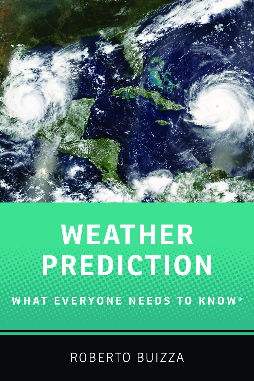 Weather Prediction: What Everyone Needs to Know®: What Everyone Needs to Knowr Business & Technology