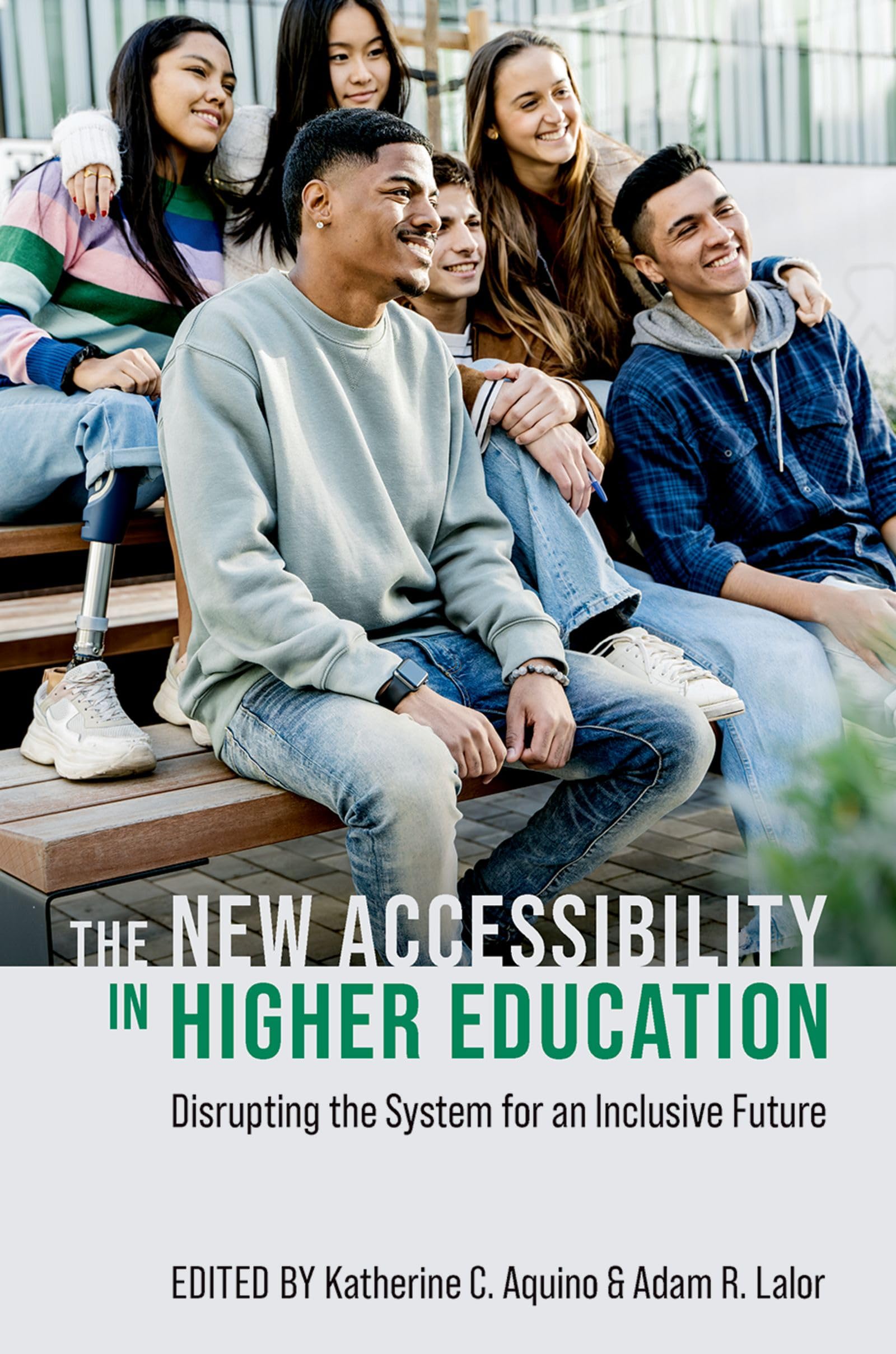 The New Accessibility in Higher Education: Disrupting the System for an Inclusive Future book