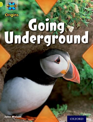 Project X Origins: Lime Book Band, Oxford Level 11: Underground: Going Underground Foreign Languages ​​& Dictionaries