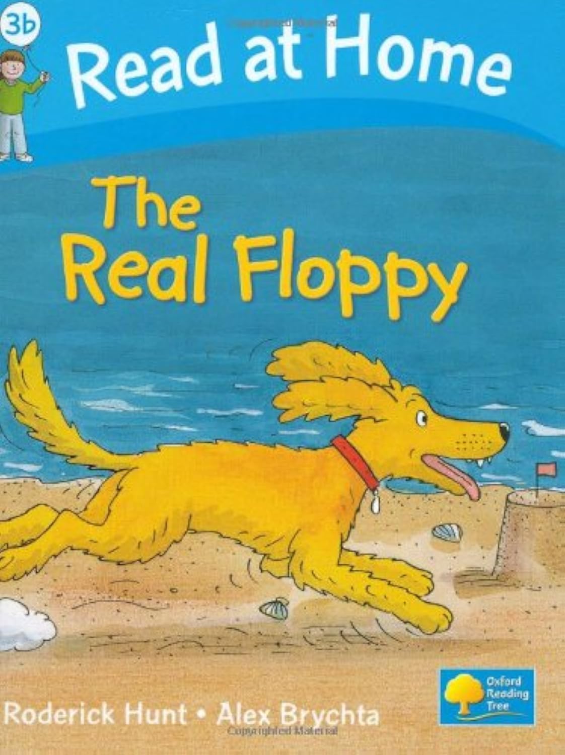 Product Image: Read at Home: The Real Floppy, Level 3b