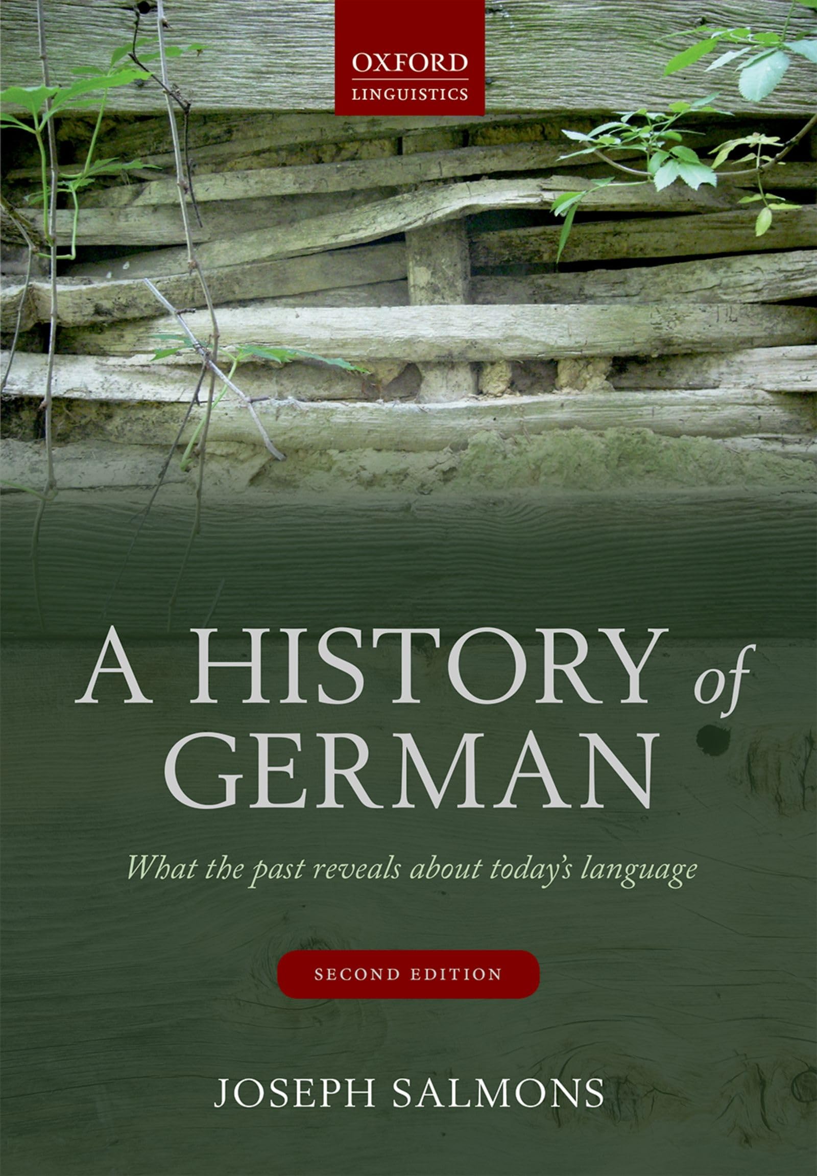 A History of German Social Sciences