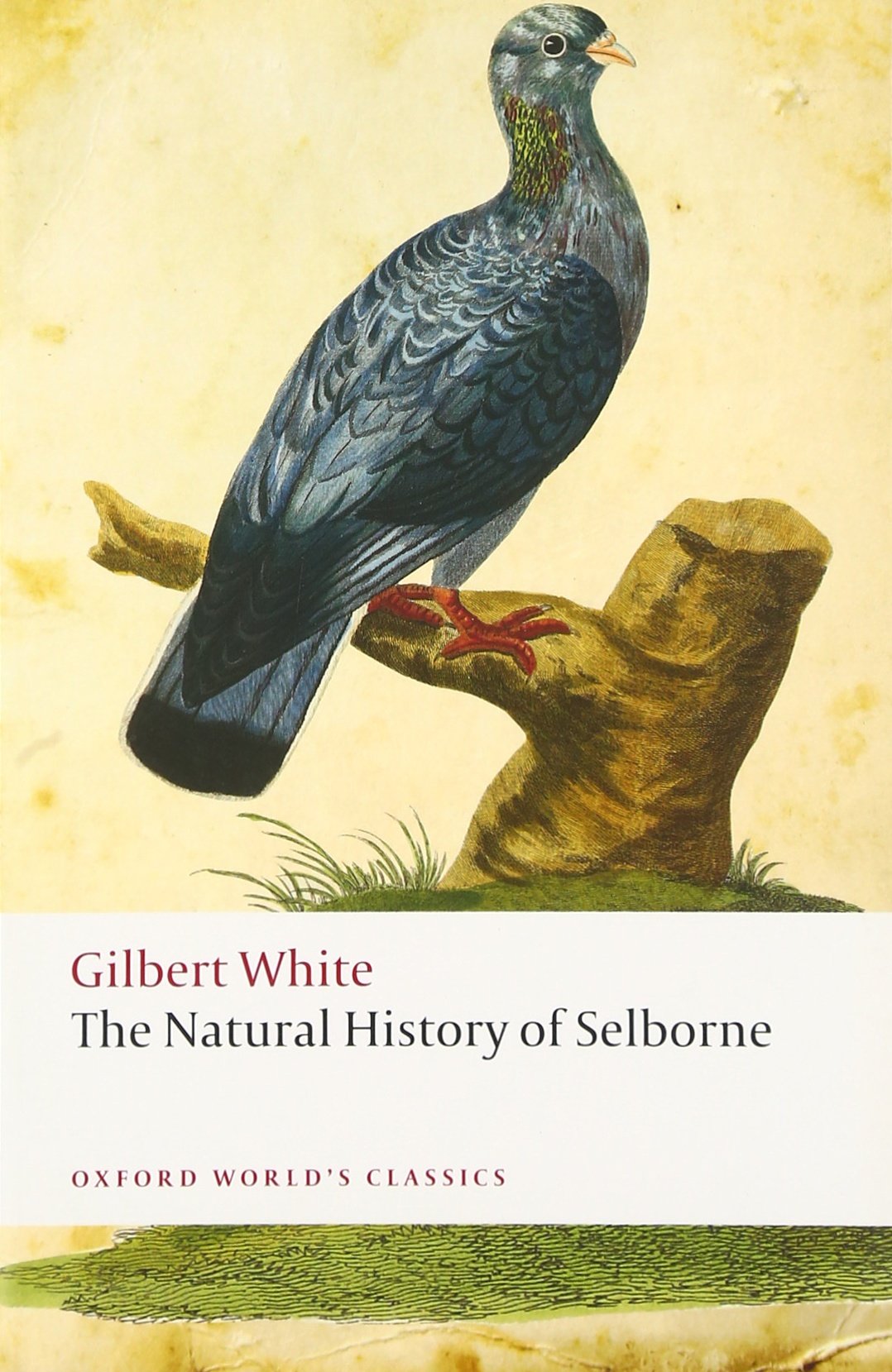 The Natural History of Selborne (Oxford World's Classics) Essays & Short Stories