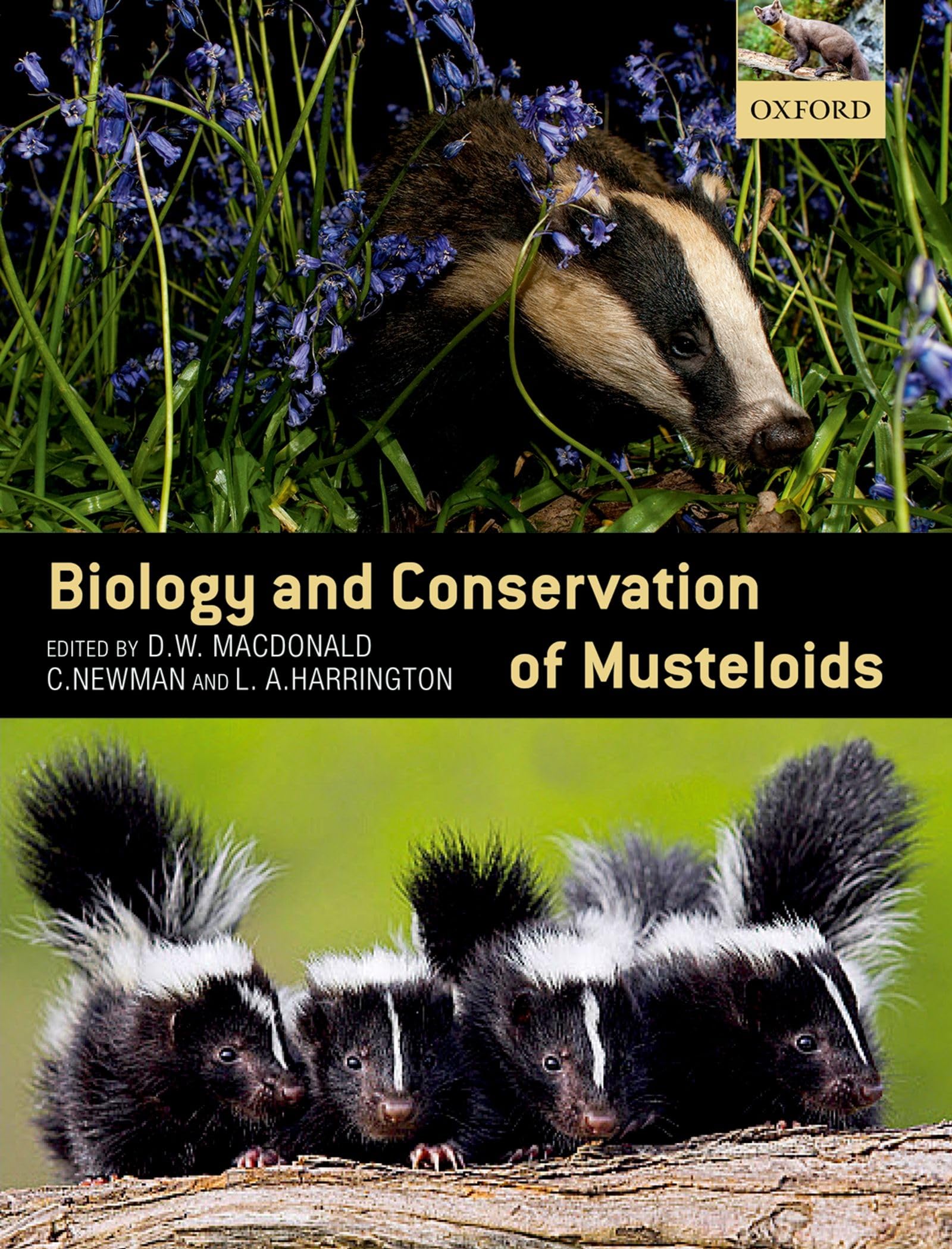 BIOLOGY & CONSERVATION OF MUSTELOIDS P Mathematics