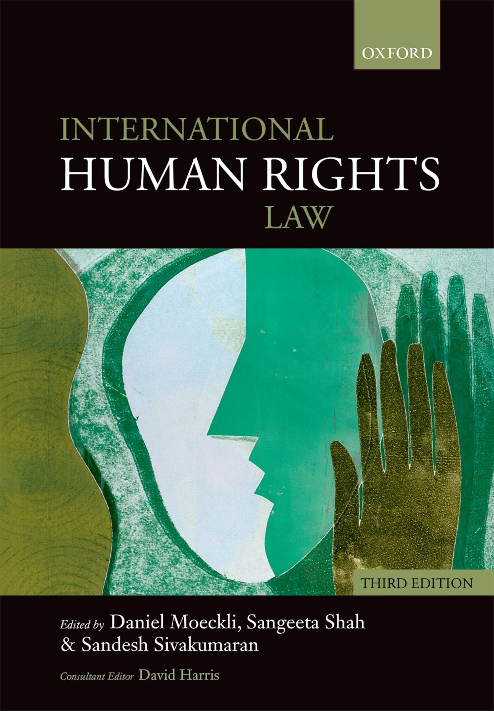International Human Rights Law Law Books