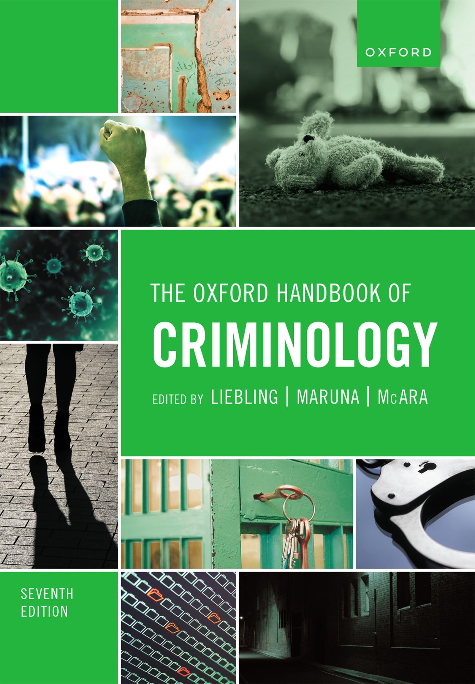 The Oxford Handbook of Criminology Law