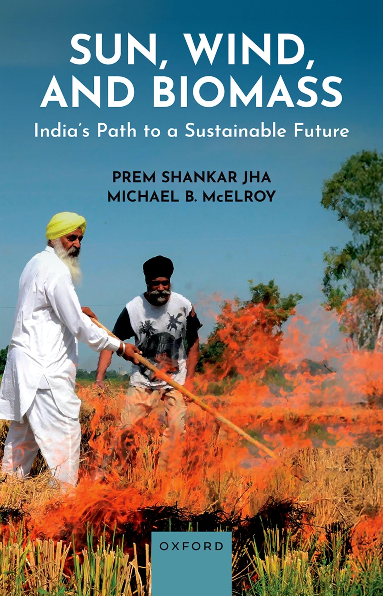 Sun, Wind, and Biomass: India's Path to a Sustainable Future Business, Finance & Career