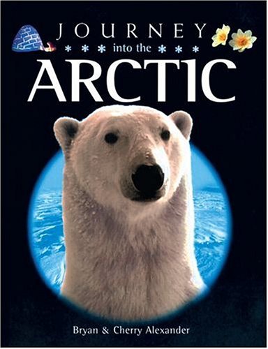 Product Image: Journey into the Arctic