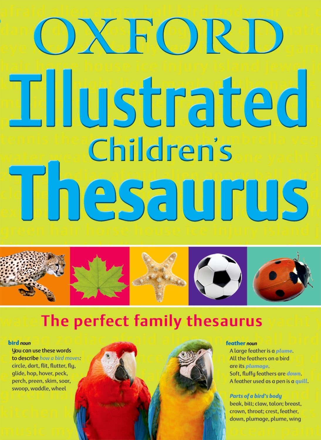 Oxford Illustrated Children's Thesaurus Non-fiction
