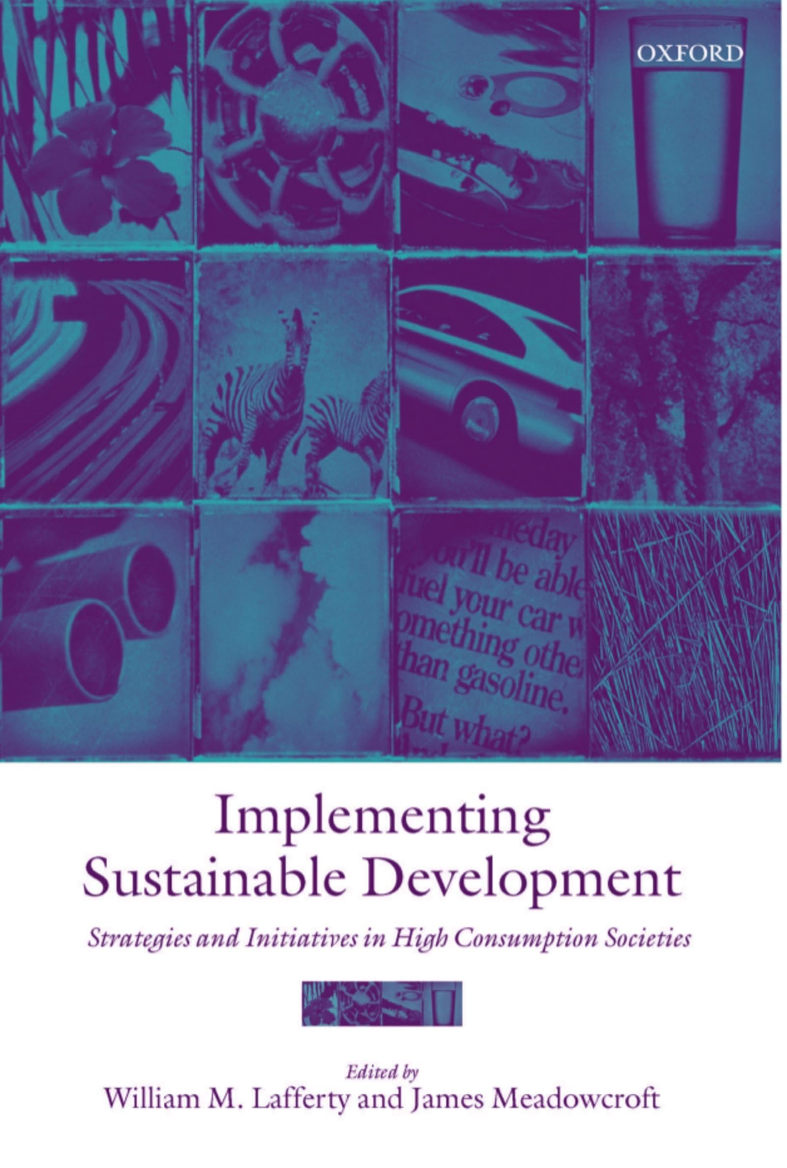 Implementing Sustainable Development: Strategies and Initiatives in High Consumption Societies book