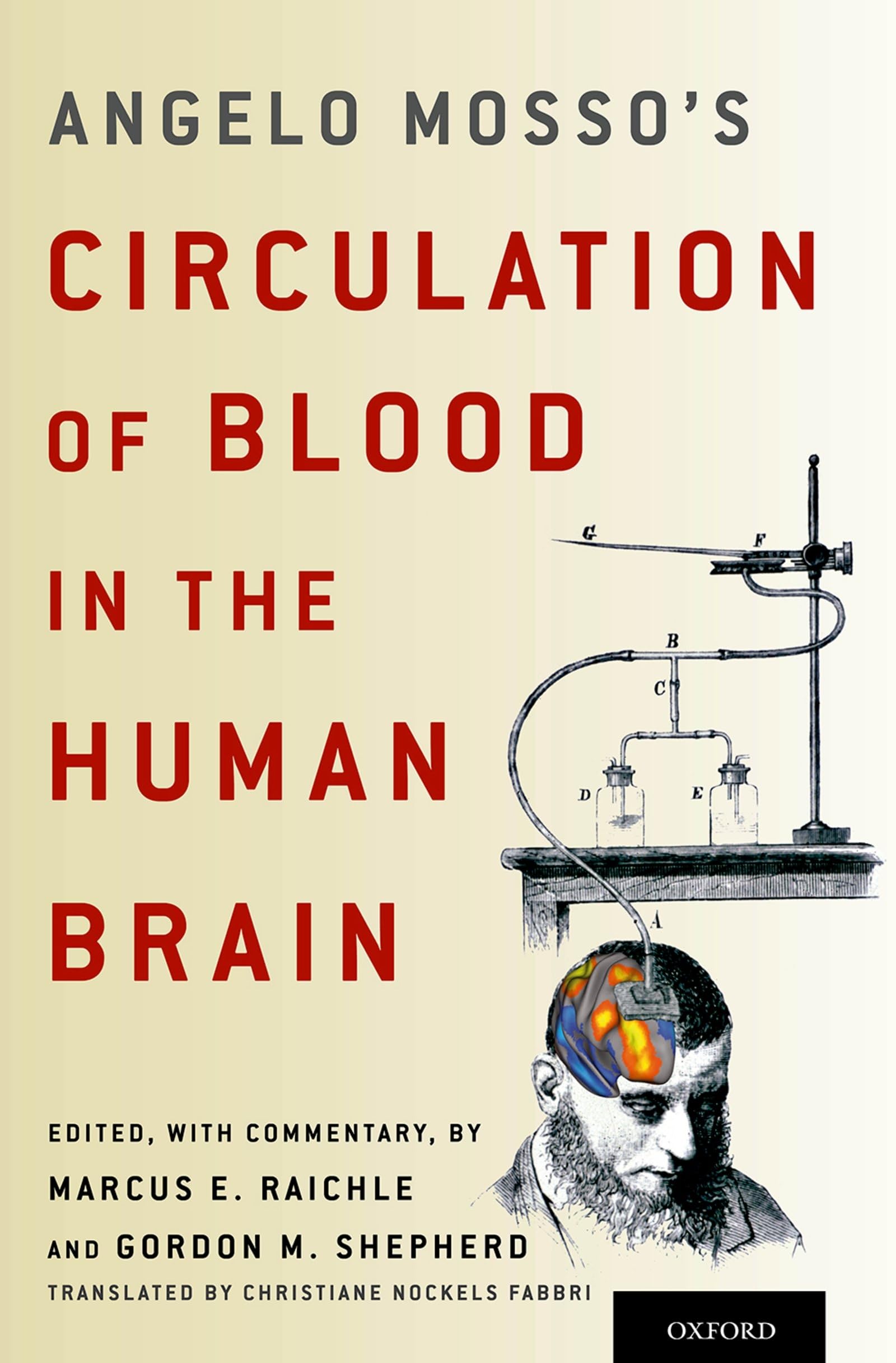 Angelo Mosso's Circulation of Blood in the Human Brain Medicine