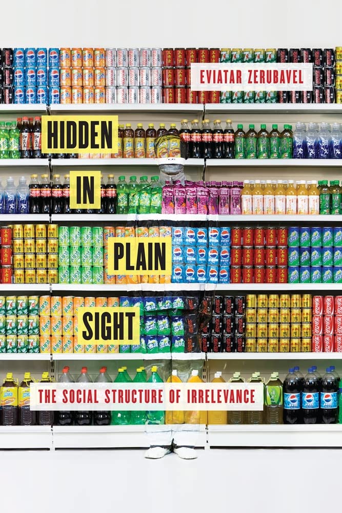 Hidden in Plain Sight: The Social Structure of Irrelevance Social Sciences