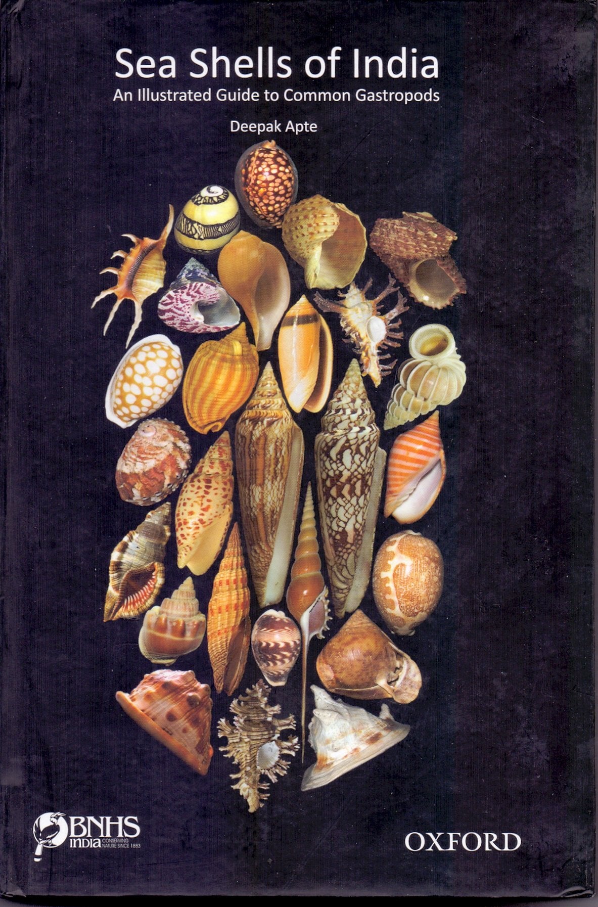 Sea Shells of India: An Illustrated Guide to Common Gastropods Natural Sciences