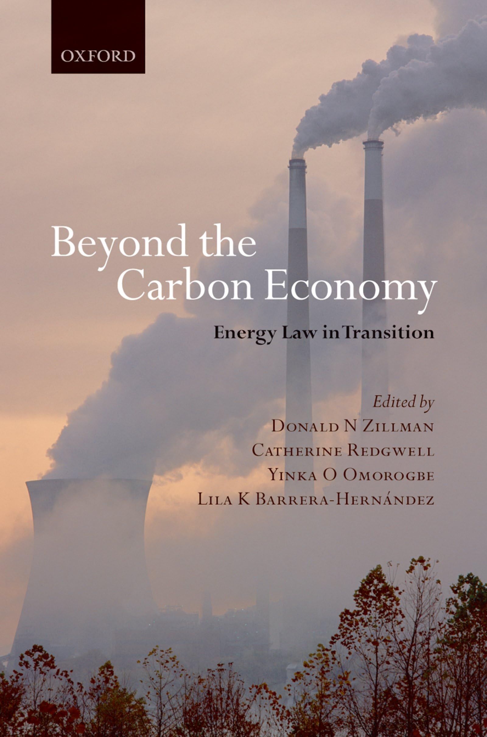 Beyond the Carbon Economy Law