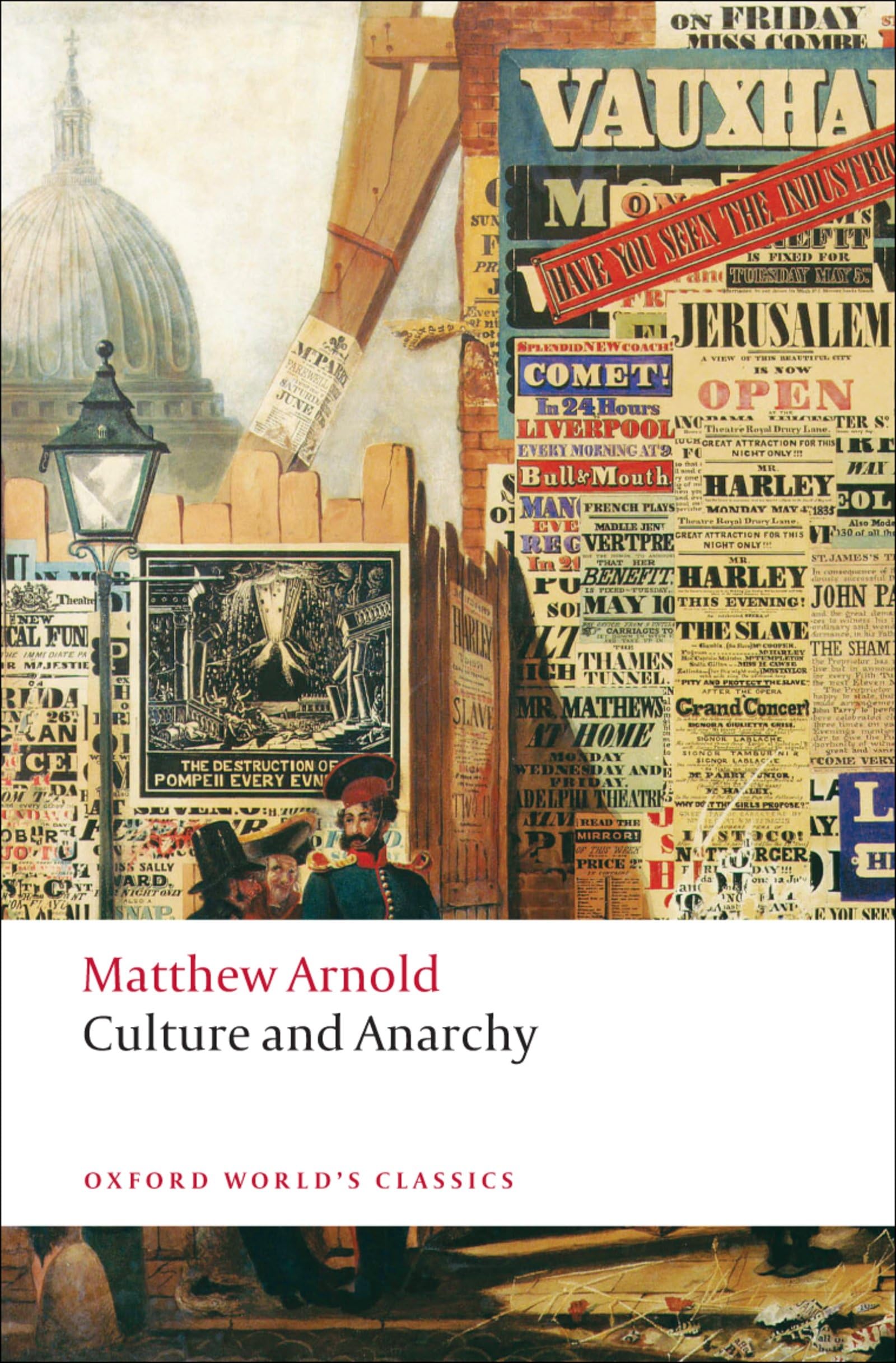 Culture and Anarchy Social Sciences Books