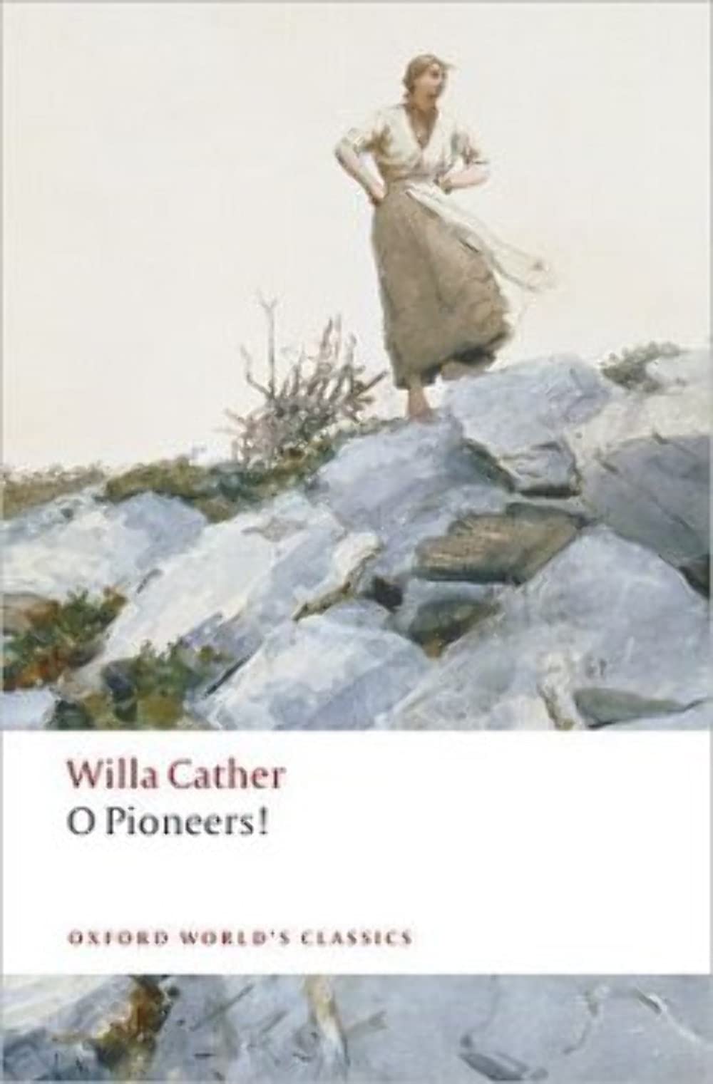 O Pioneers! Contemporary literature Books