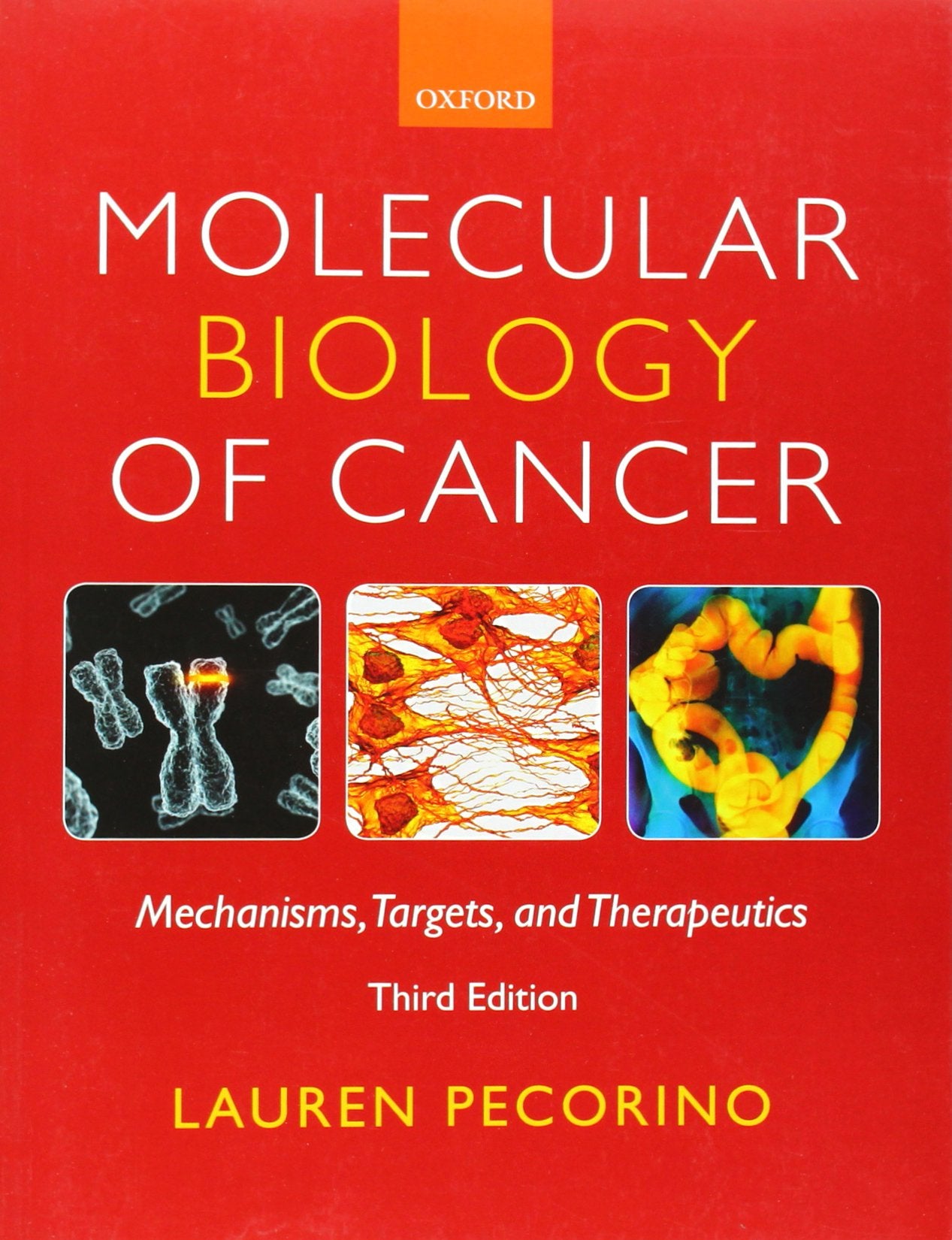 Molecular Biology of Cancer: Mechanisms, Targets, and Therapeutics Medicine