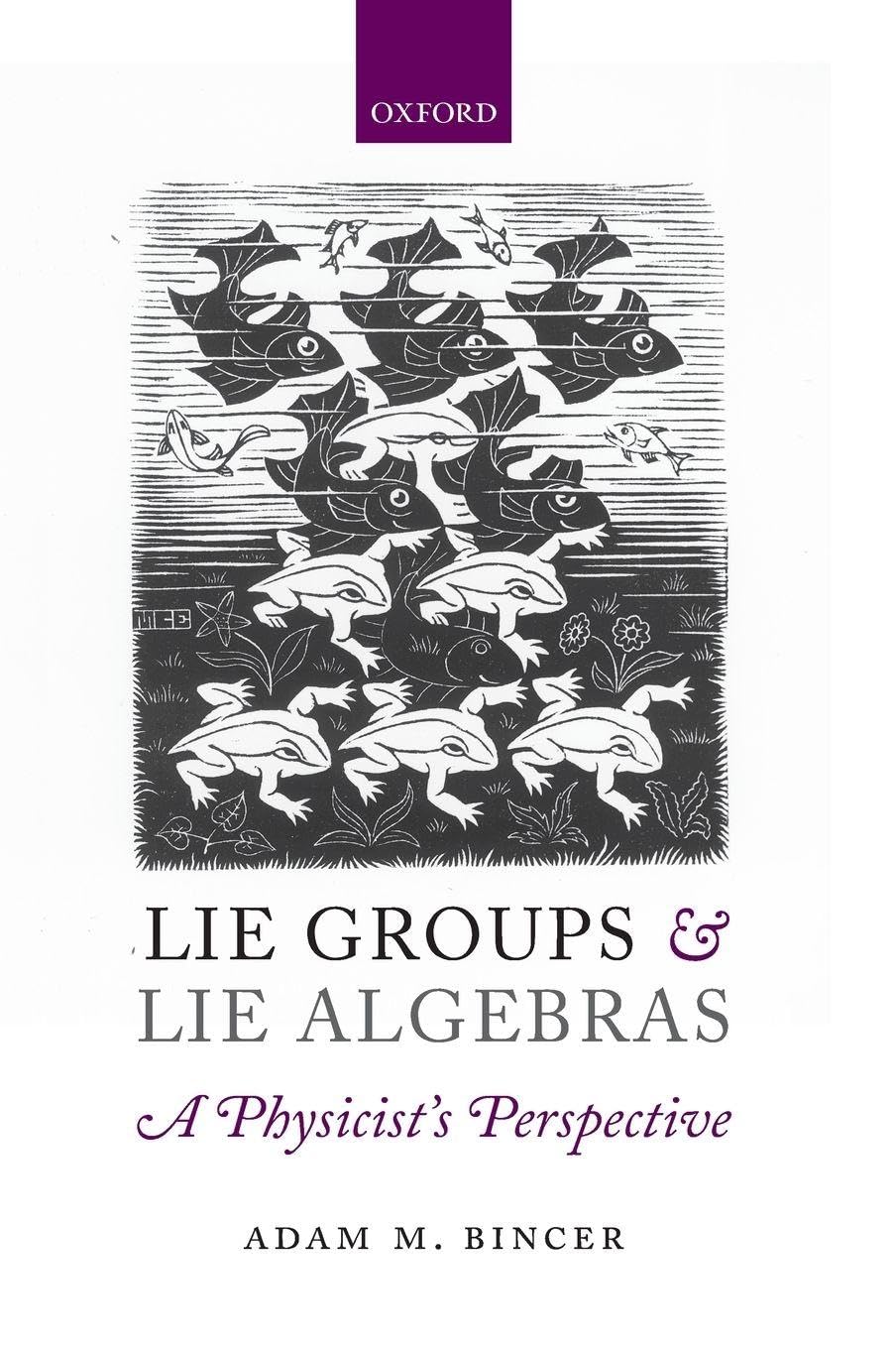 Lie Groups and Lie Algebras - A Physicist's Perspective Mathematics