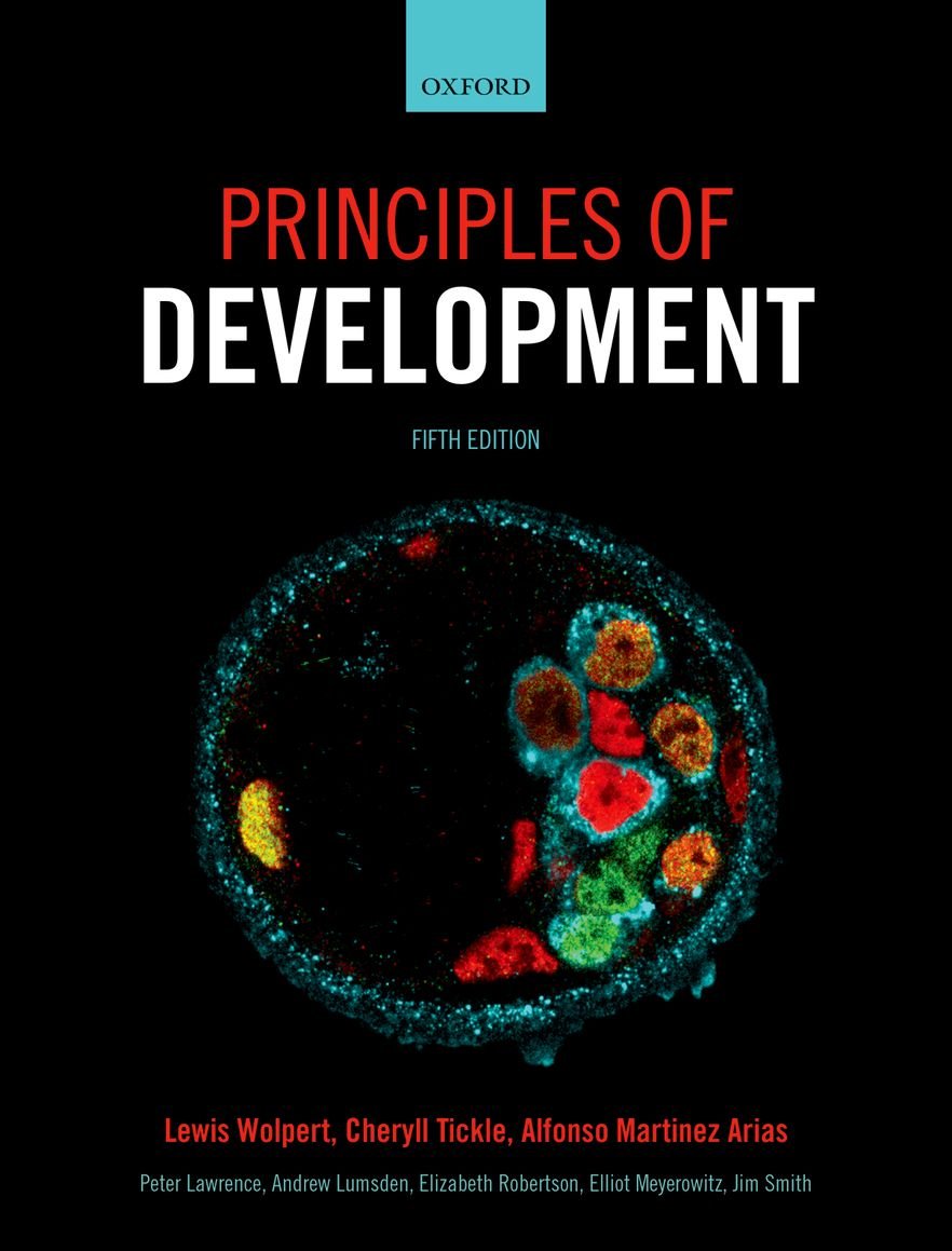 Product Image: Principles of Development