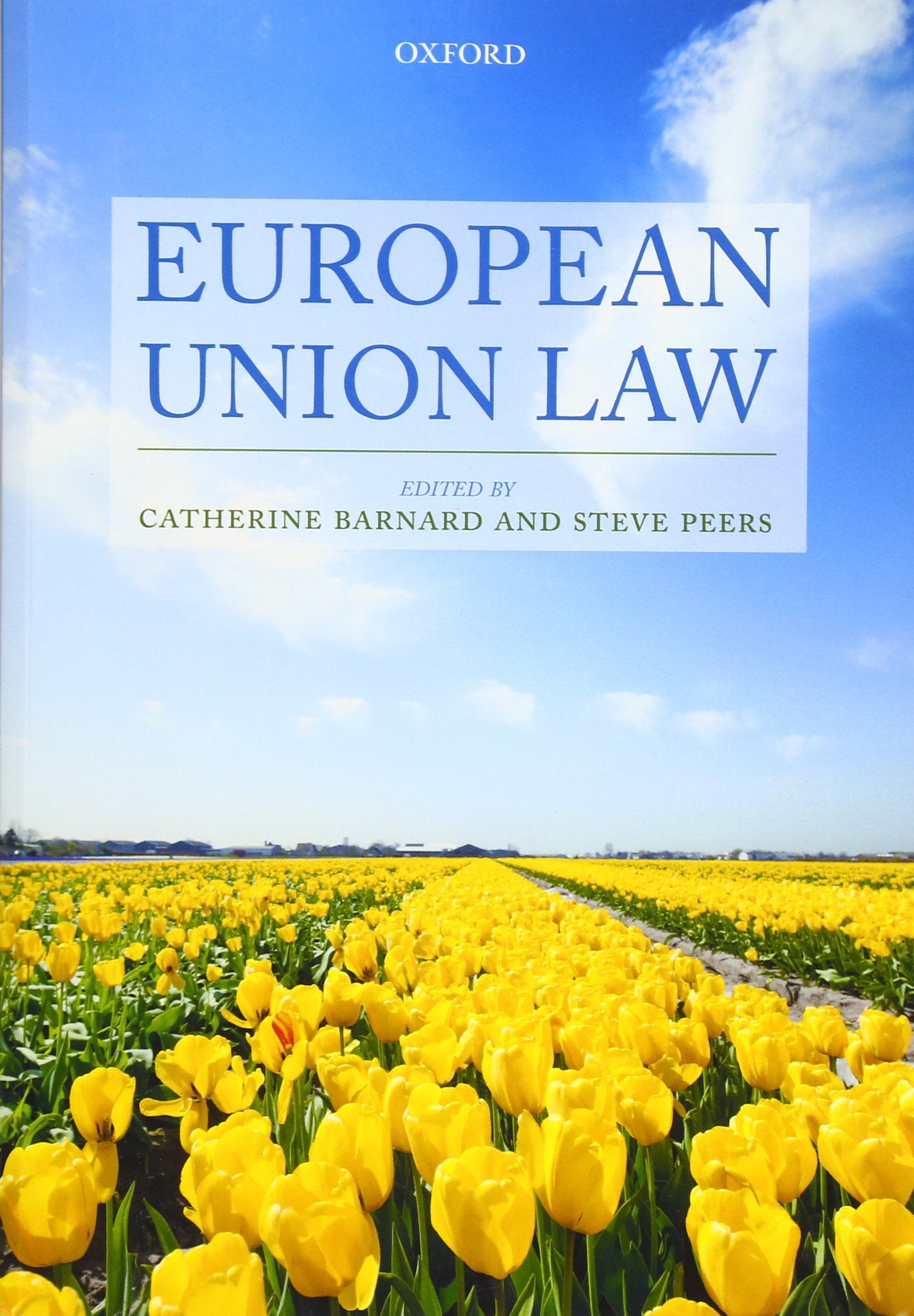 European Union Law book
