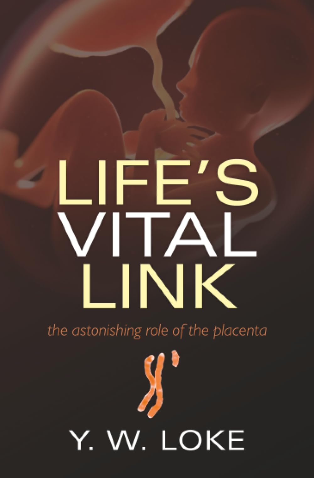 Life's Vital Link: The astonishing role of the placenta Medicine