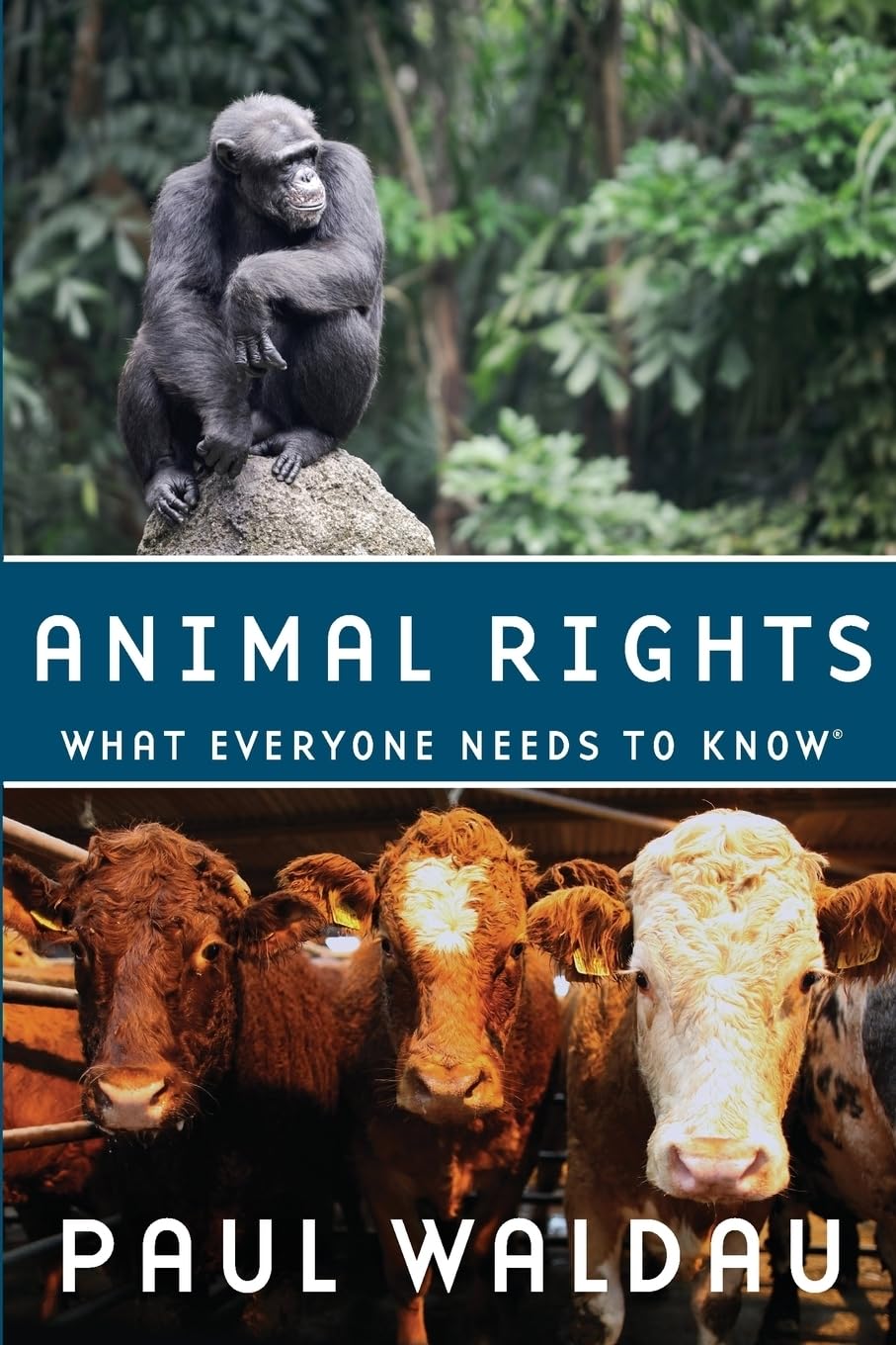 Animal Rights: What Everyone Needs to Know: What Everyone Needs to Know(r) Law