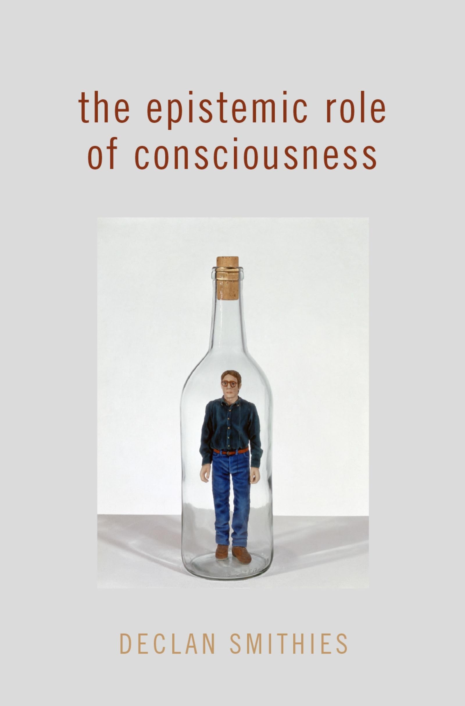 The Epistemic Role of Consciousness Philosophy