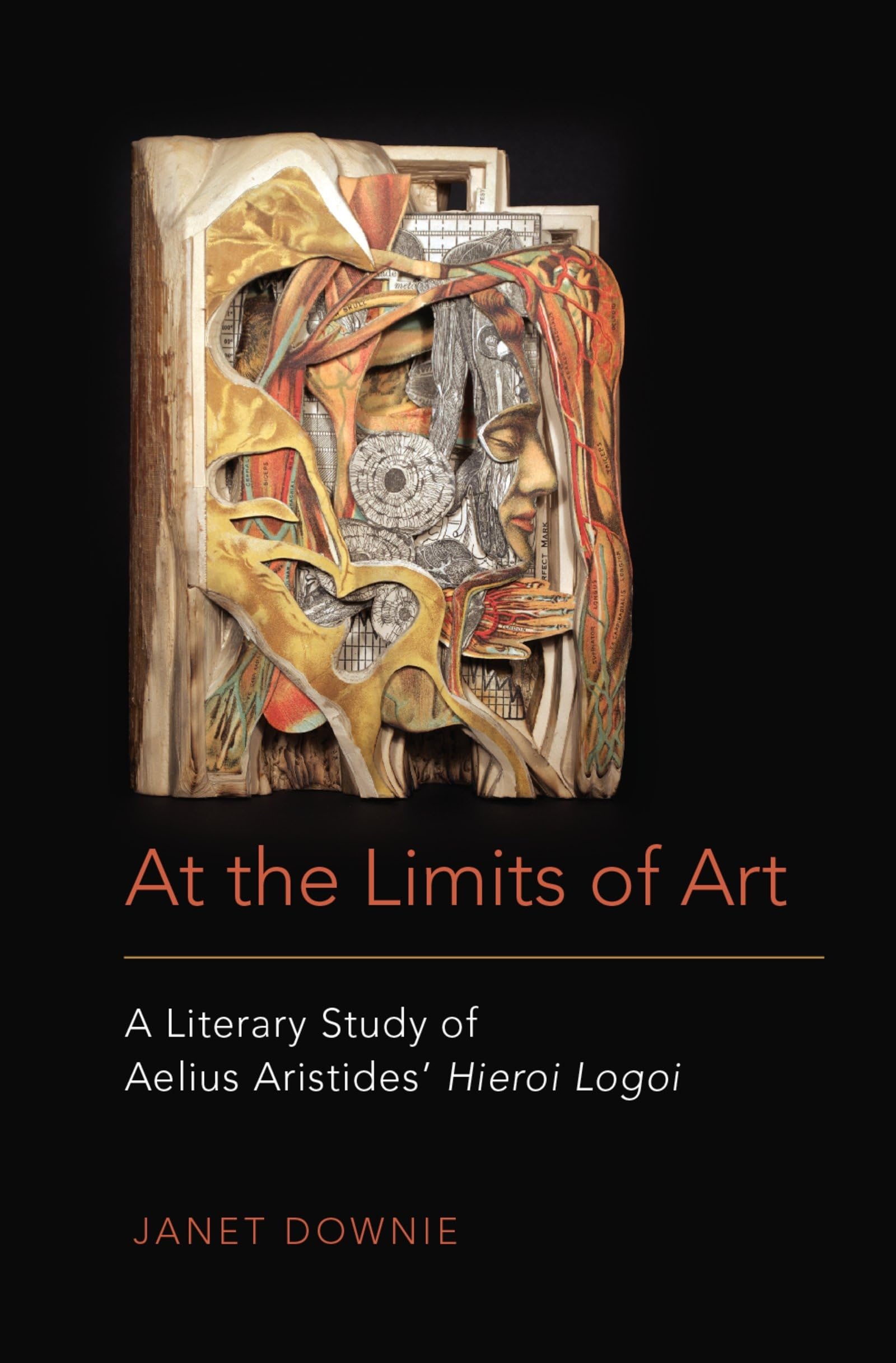 At the Limits of Art Social Sciences