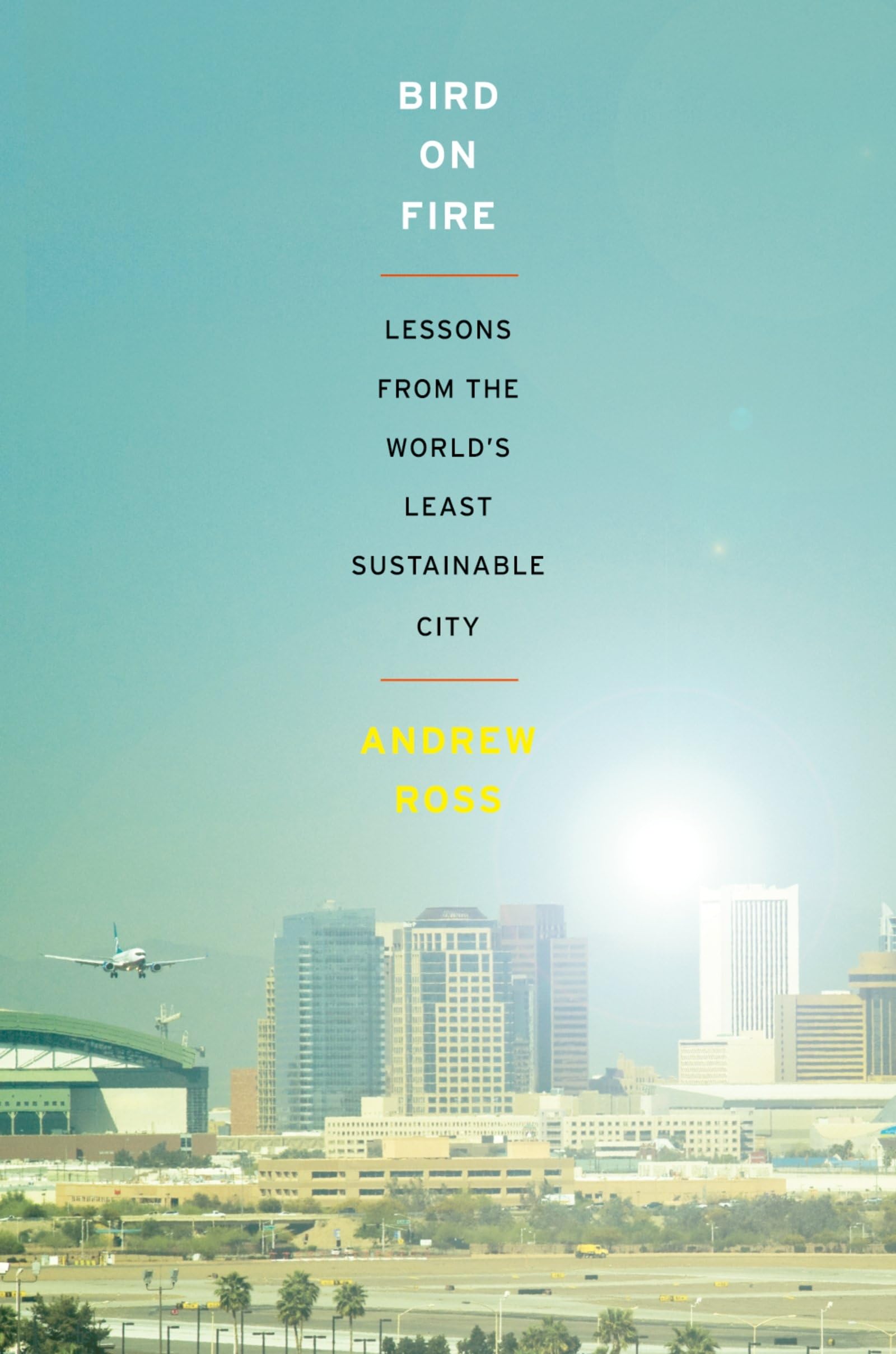 Bird on Fire: Lessons From The World's Least Sustainable City book