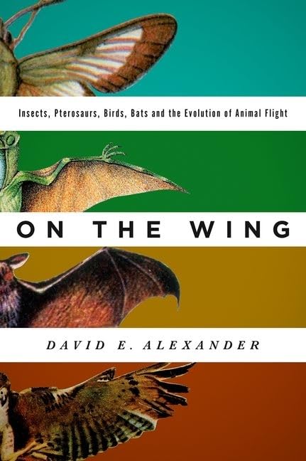 On the Wing Mathematics