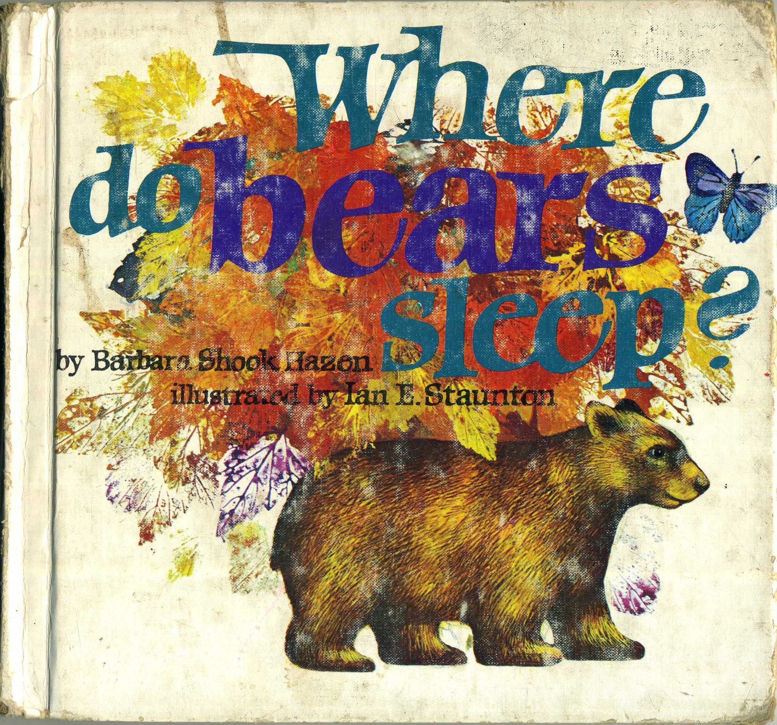 Product Image: Where Do Bears Sleep