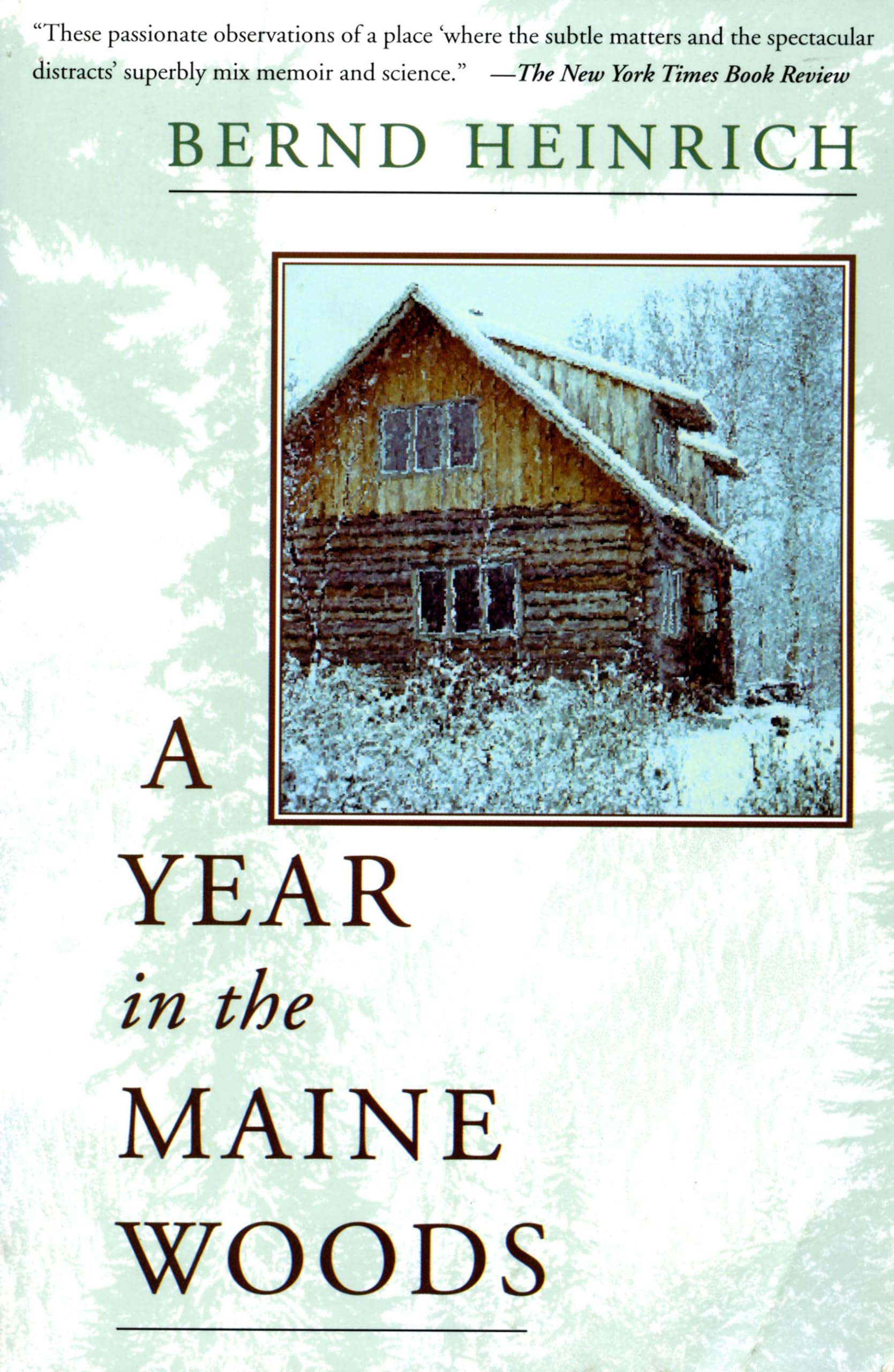 A Year in the Maine Woods Memories