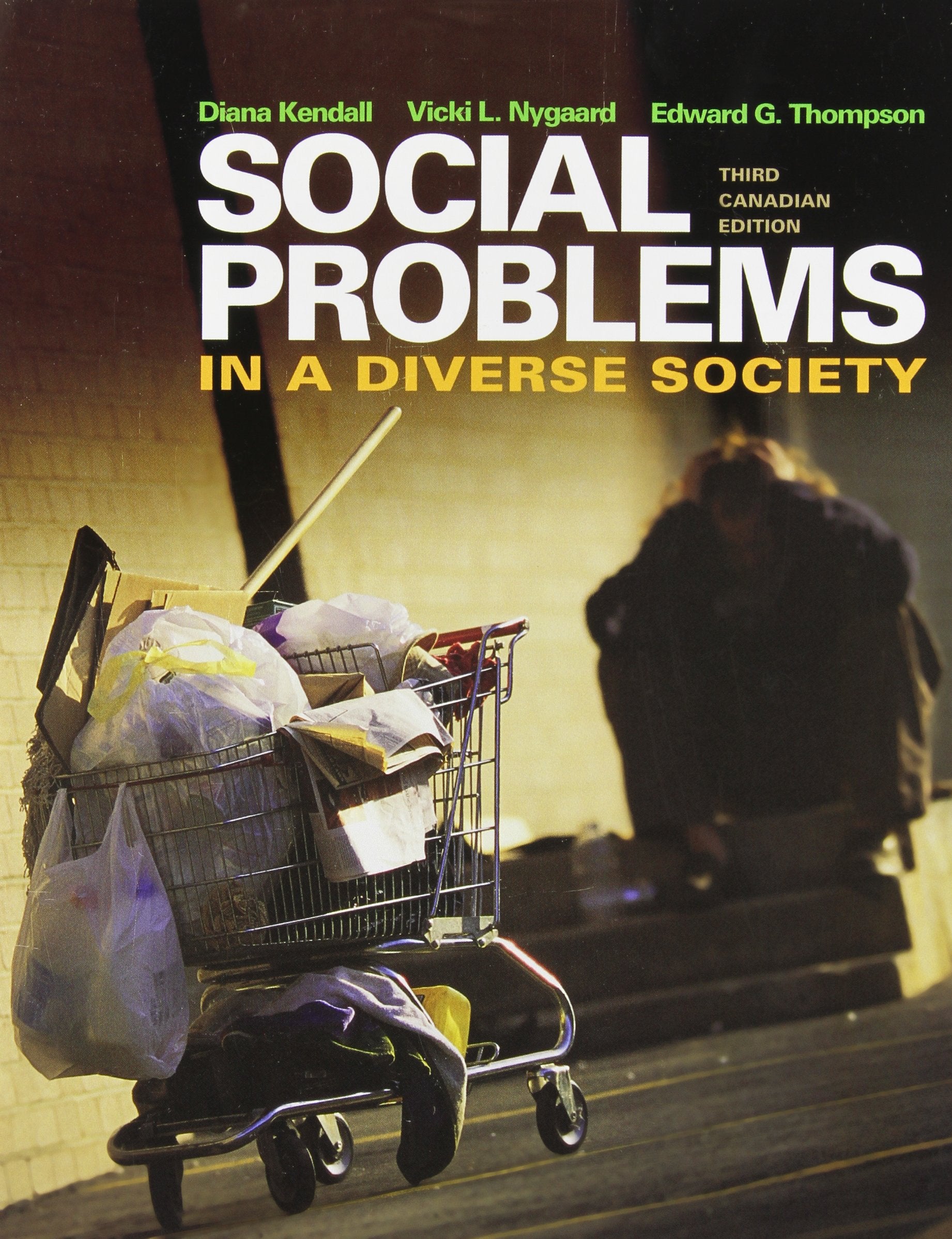 Social Problems in a Diverse Society, Third Canadian Edition Social Sciences