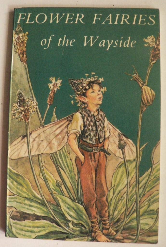 Flower Fairies of the Wayside Books