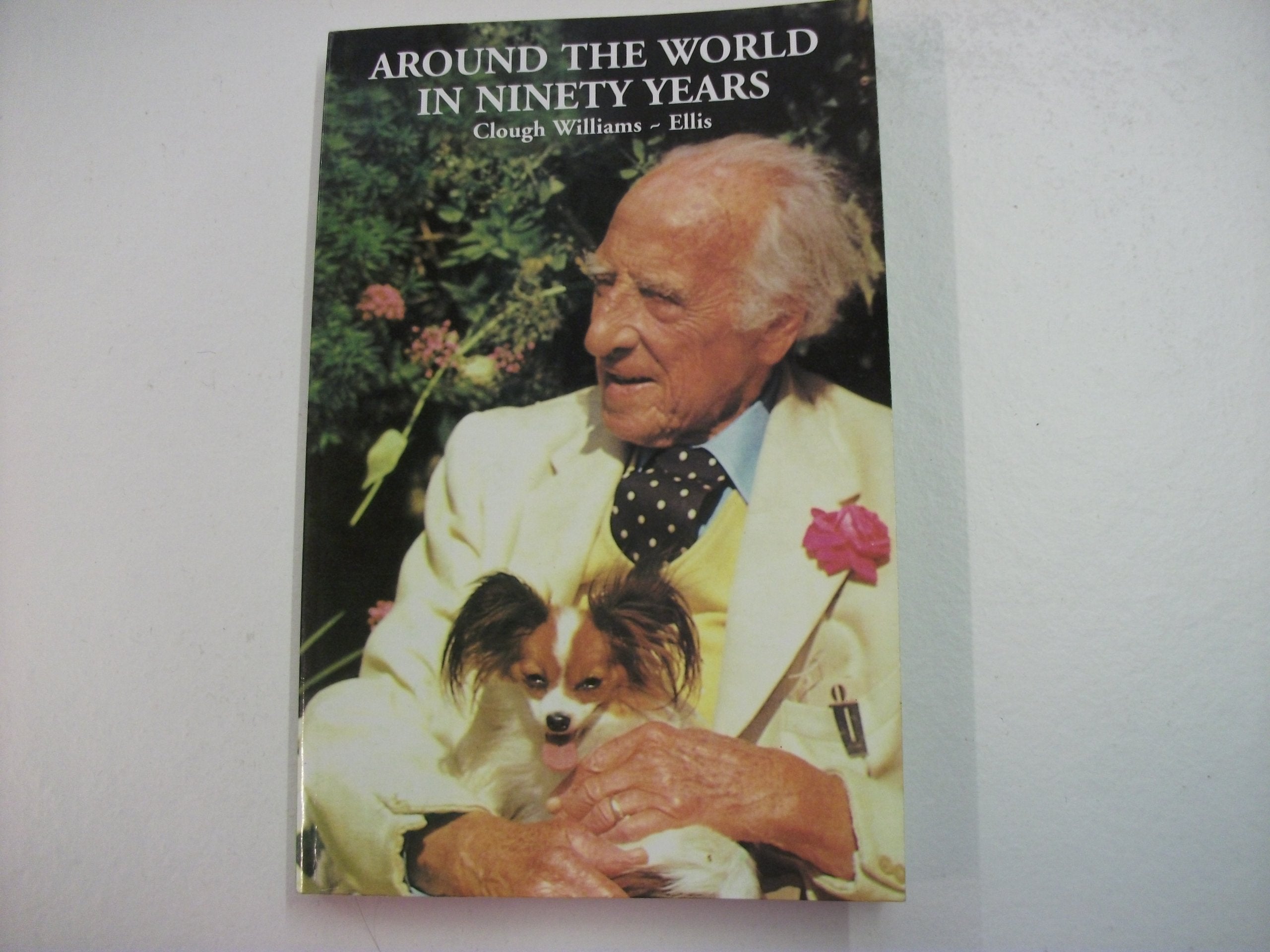 Around the world in ninety years Books
