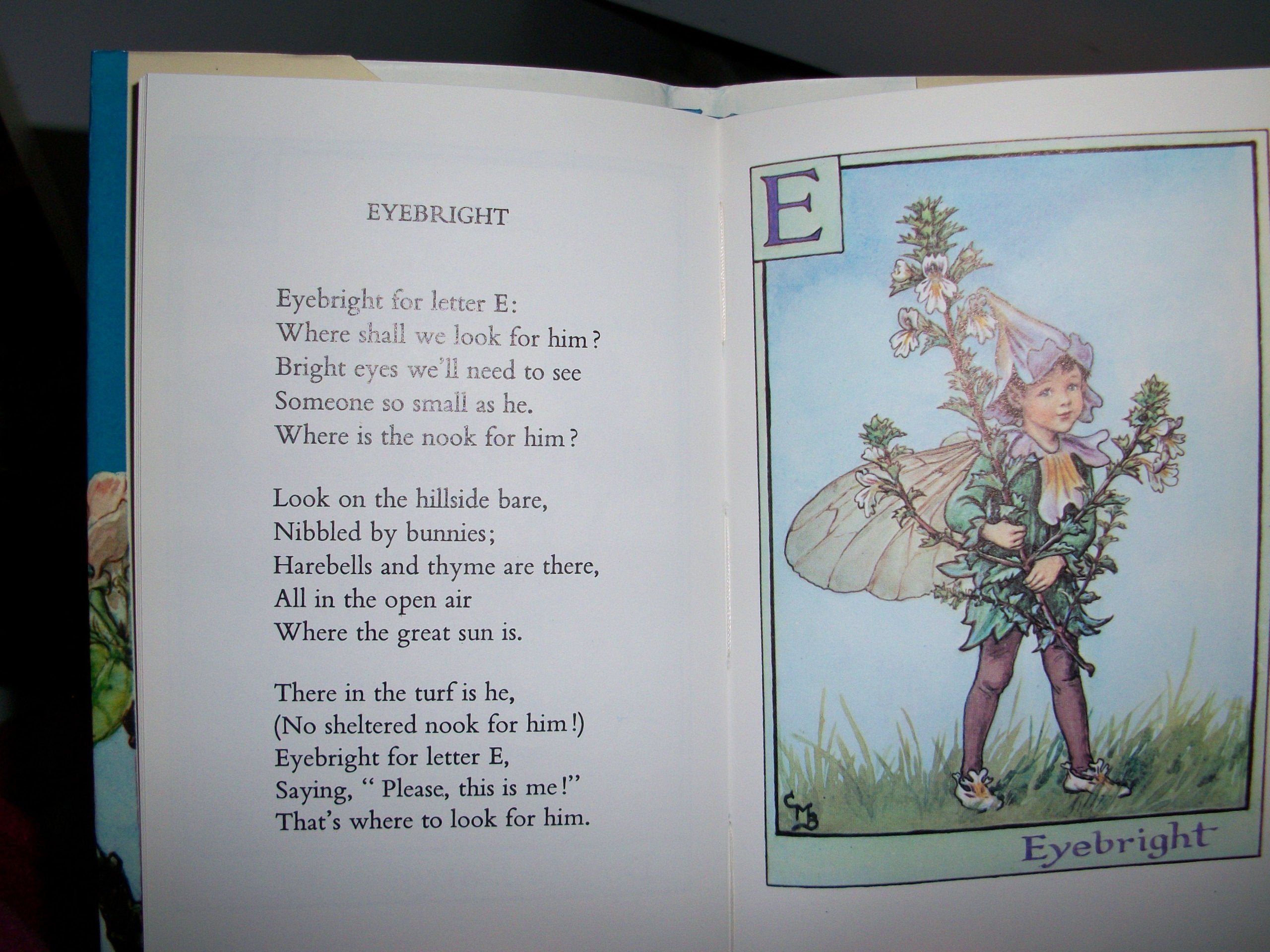 Flower Fairy Alphabet book