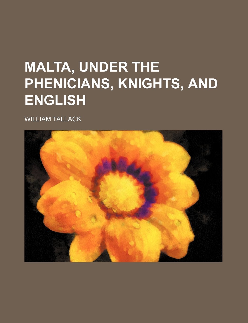 Malta, Under the Phenicians, Knights, and English Books