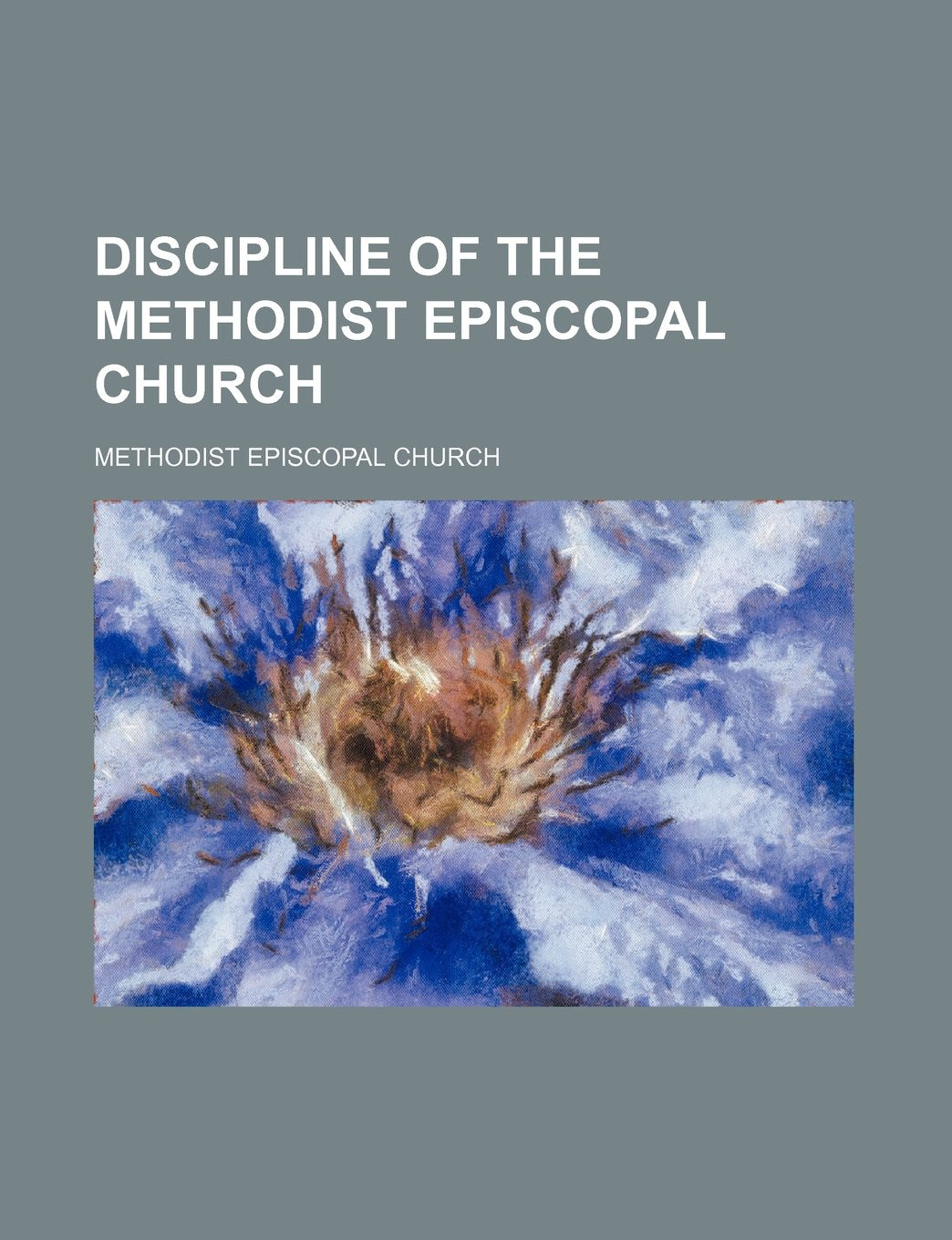 Discipline of the Methodist Episcopal Church Politics & History