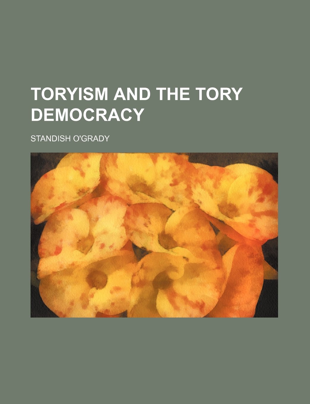 Toryism and the Tory Democracy Books