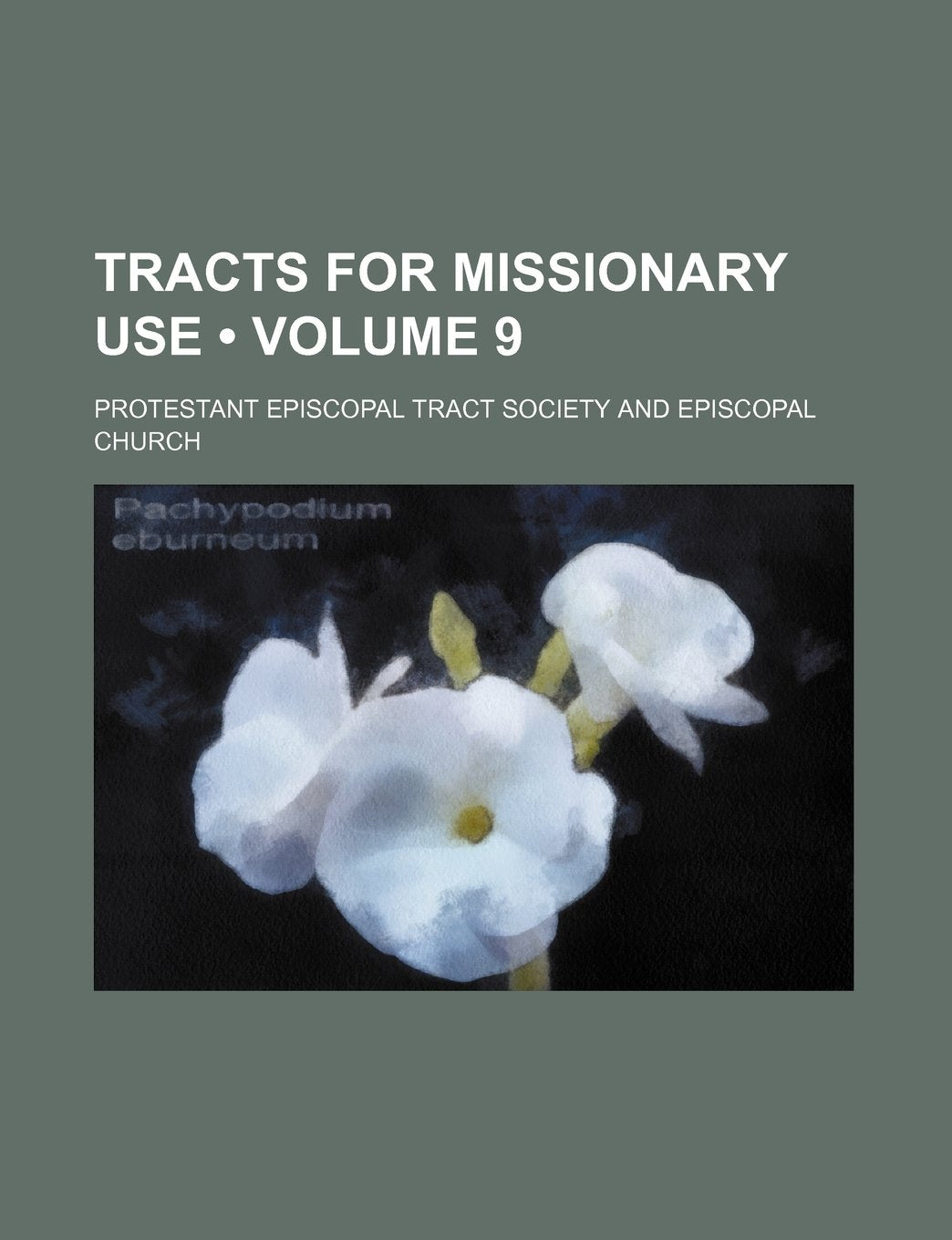 Tracts for Missionary Use (Volume 9) Books