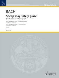 Sheep may safely: Aria from the Birthday Cantata No. 208. BWV 208. soprano, 2 treble recorders (flutes) and basso continuo. Partition et parties. Sheet Music