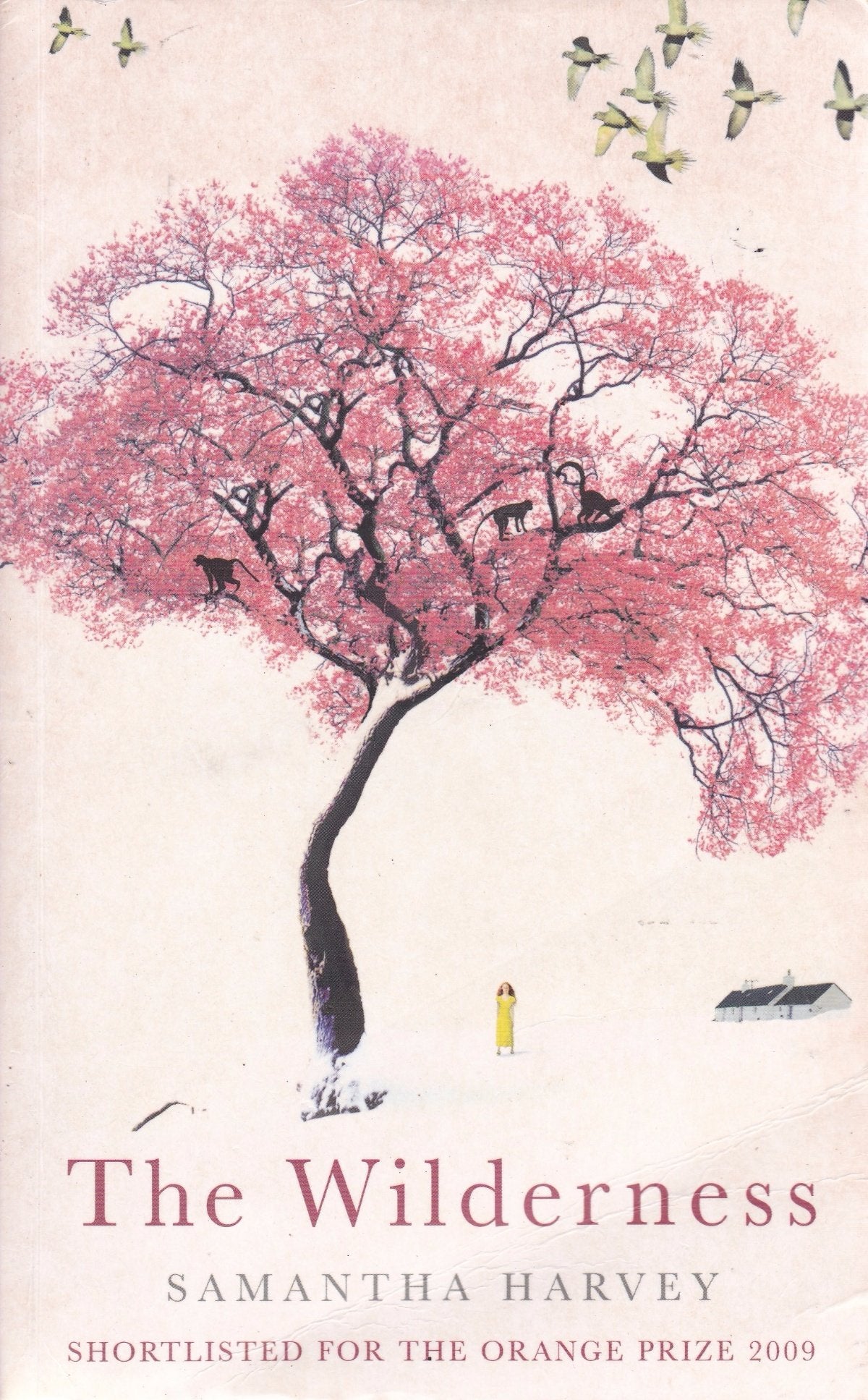 The Wilderness Contemporary literature Books