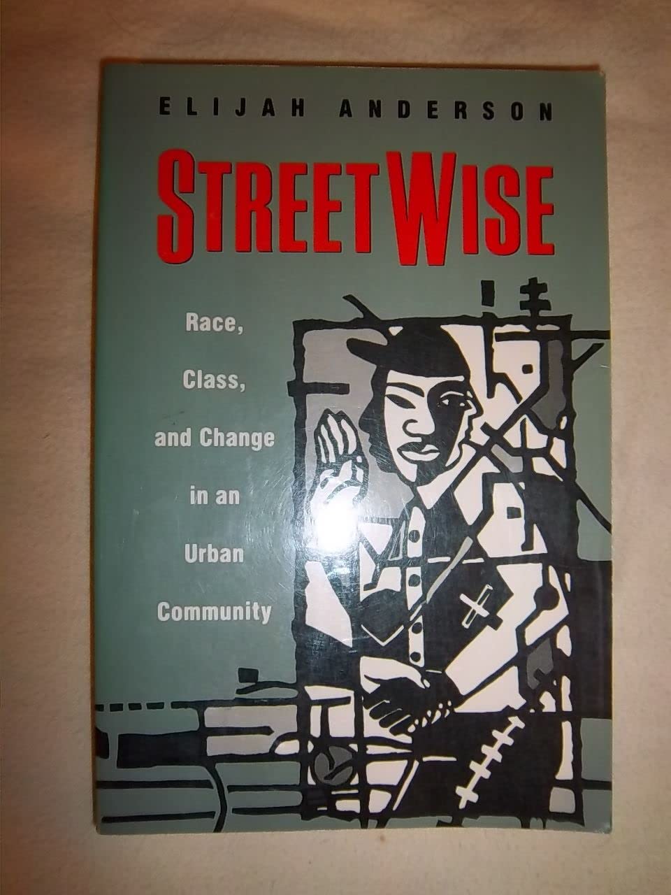 Streetwise: Race, Class and Change in an Urban Community Social Sciences