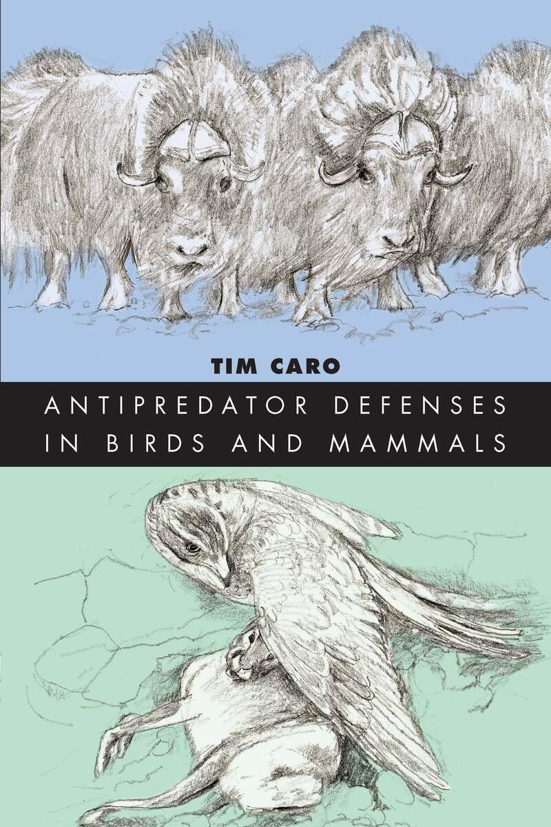 Antipredator Defenses in Birds and Mammals (Interspecific Interactions) Mathematics