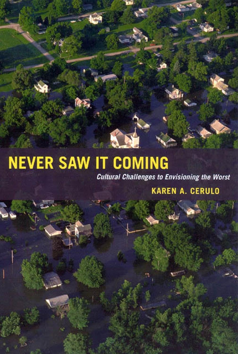 Never Saw It Coming: Cultural Challenges to Envisioning the Worst book