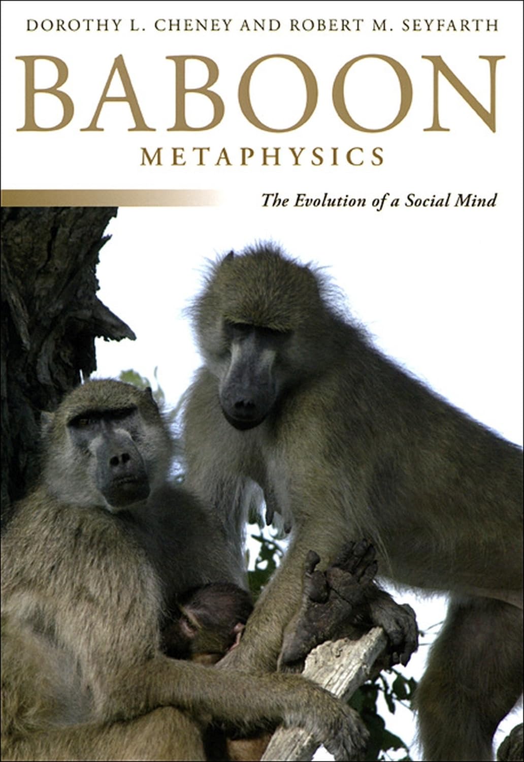Baboon Metaphysics Science Books