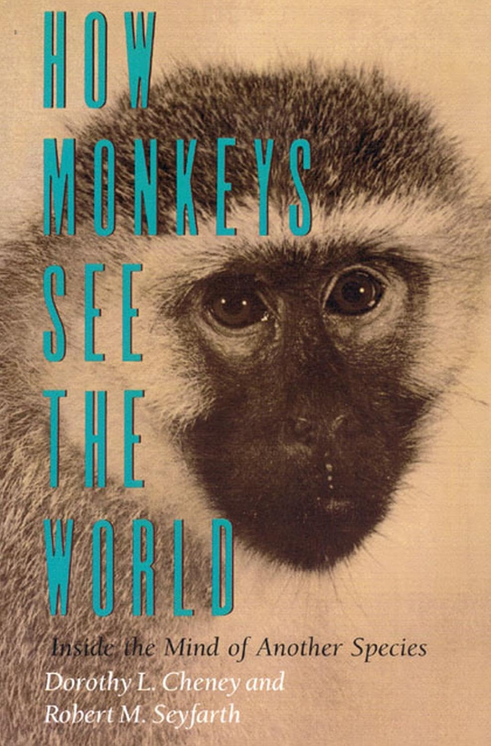 How Monkeys See the World: Inside the Mind of Another Species Mathematics