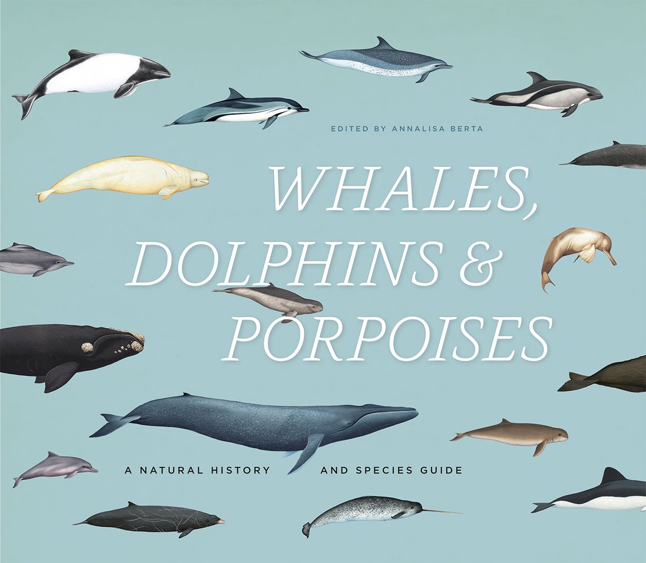 Whales, Dolphins, & Porpoises: A Natural History and Species Guide Mathematics