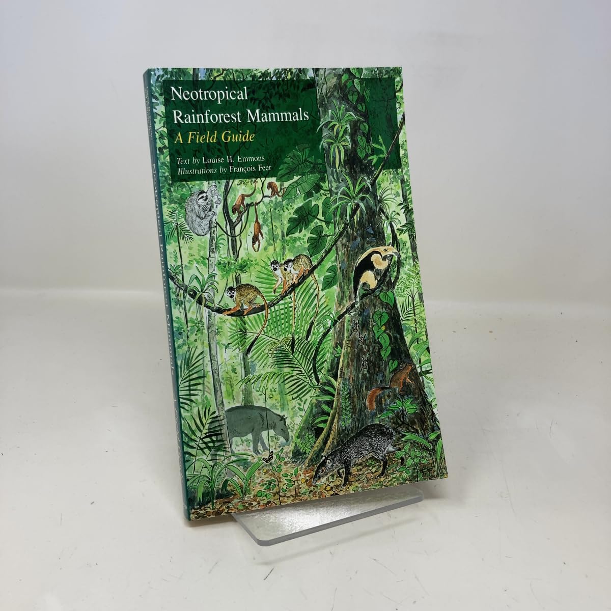 Neotropical Rainforest Mammals: A Field Guide Mathematics