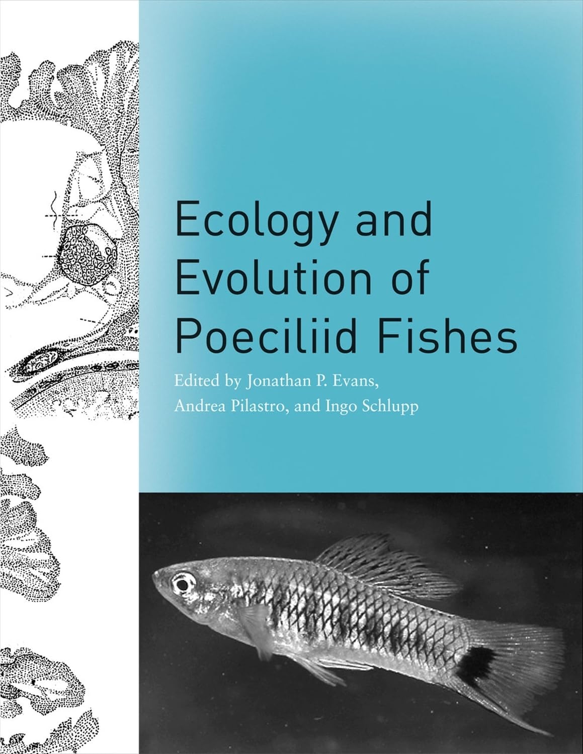 Ecology and Evolution of Poeciliid Fishes Mathematics