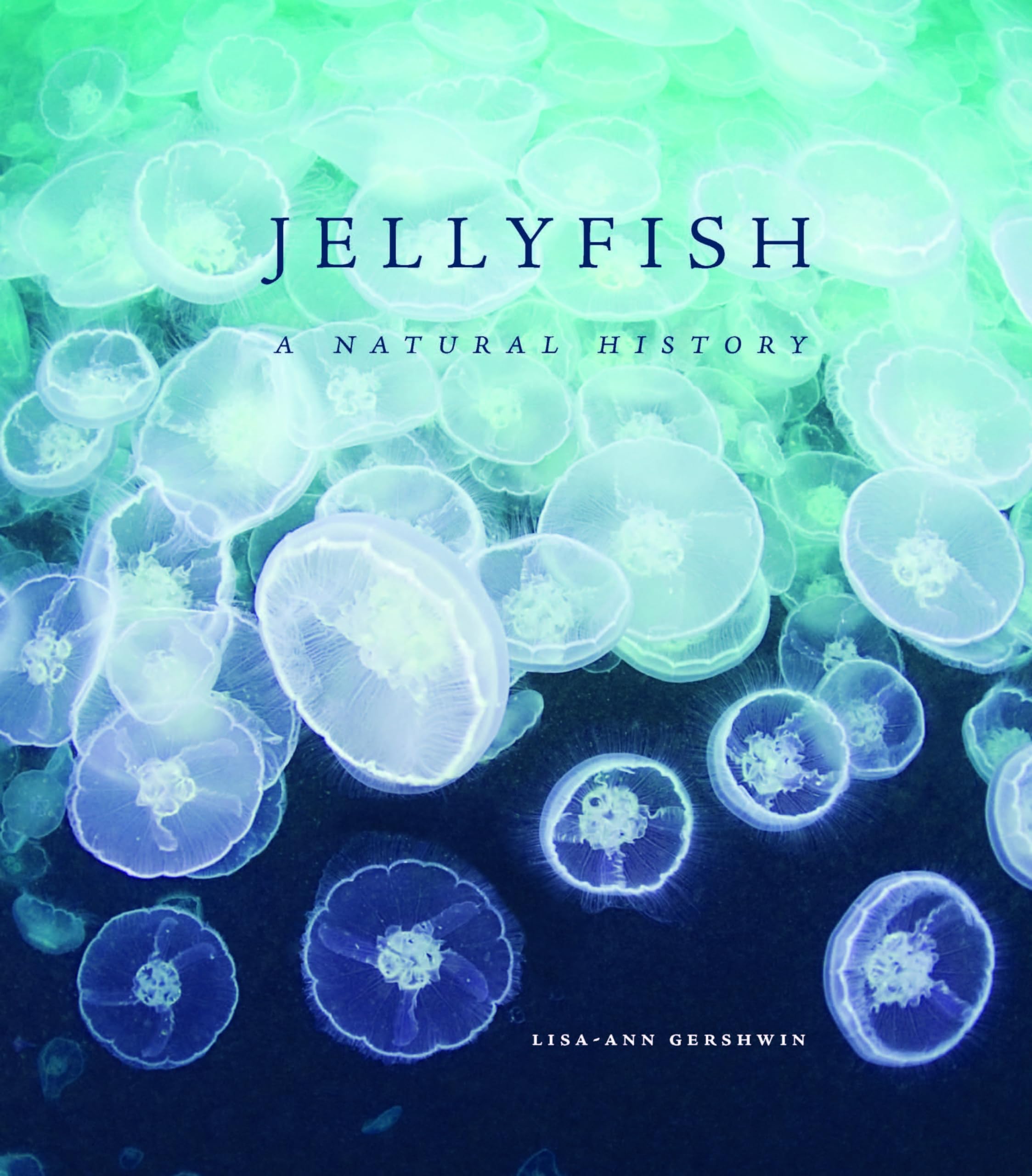 Product Image: Jellyfish